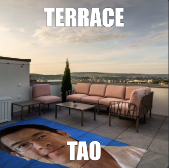 Terrace Tao wordplay meme showing a rooftop terrace and Terence Tao