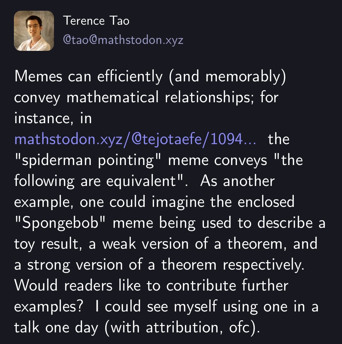 Screenshot of Terence Tao explaining that memes can memorably convey mathematical relationships